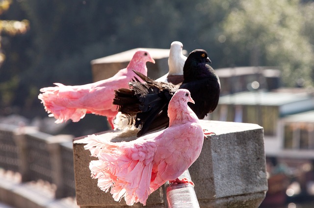 年轻球员腾 年轻球员腾