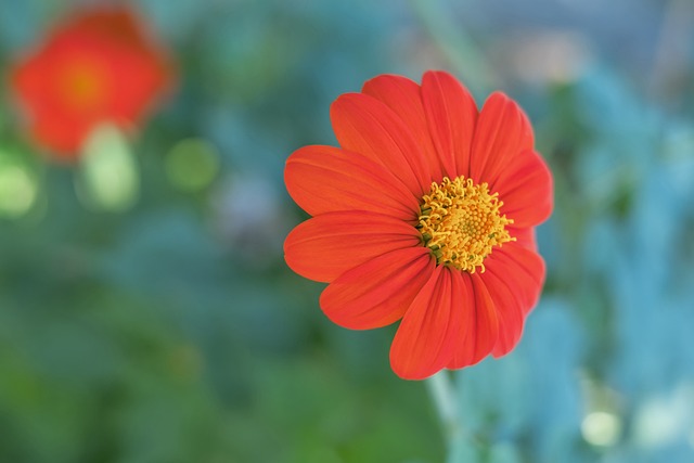 特别是近年 特别是近年