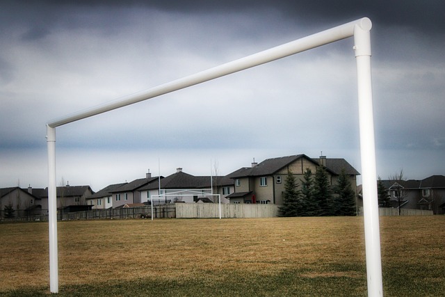 关注与支持 关注与支持