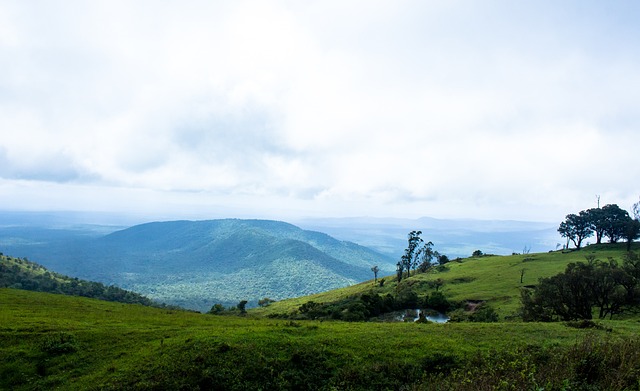 新冠疫情对 新冠疫情对