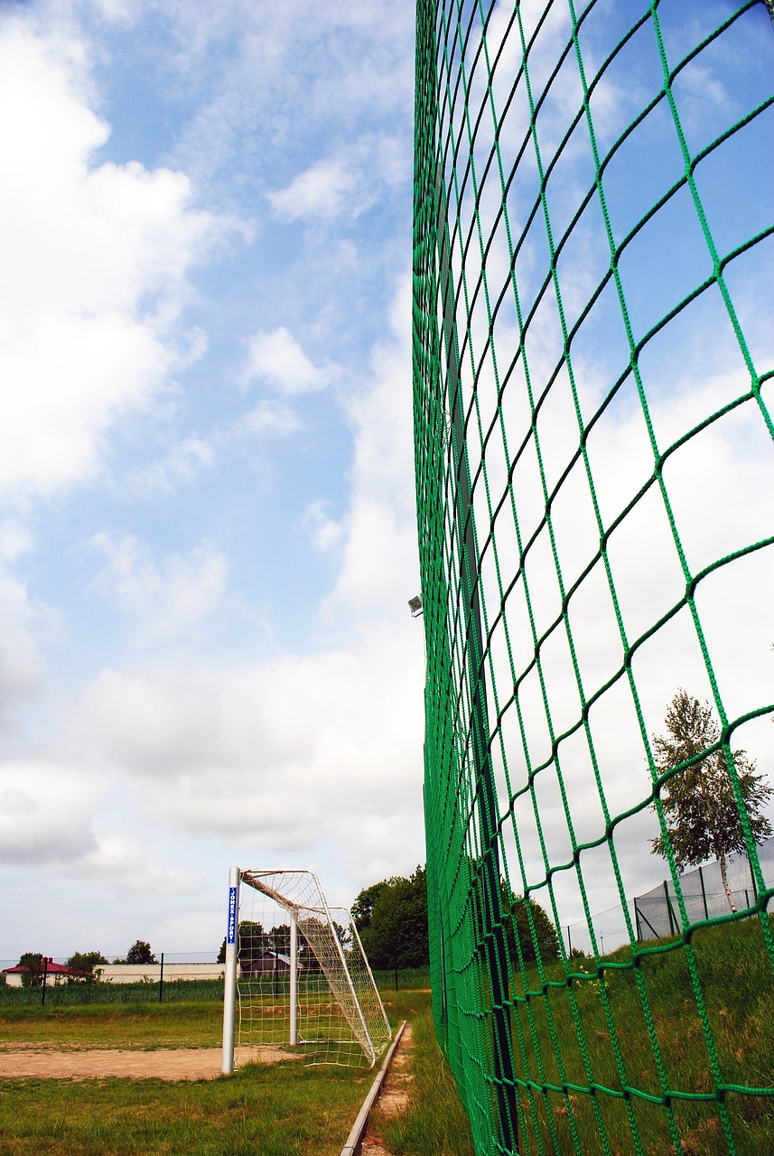 明了自己的 明了自己的